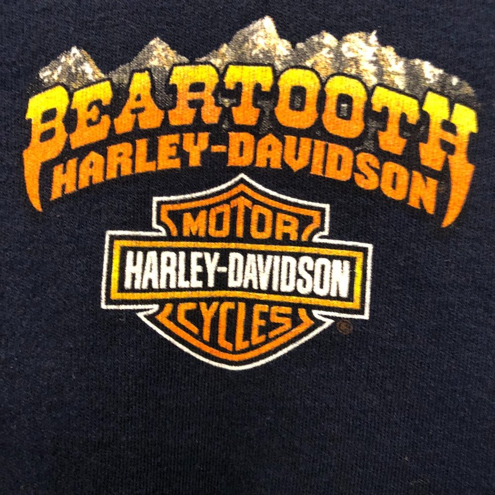 BEARTOOTH HARLEY DAVIDSON 2XL Ladies   short sleeve